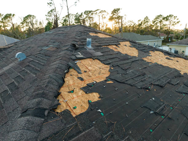 Best Chimney Flashing Repair  in Pamplico, SC