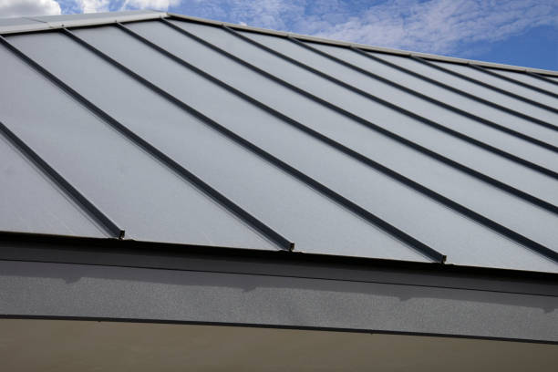 Best Roof Waterproofing  in Pamplico, SC