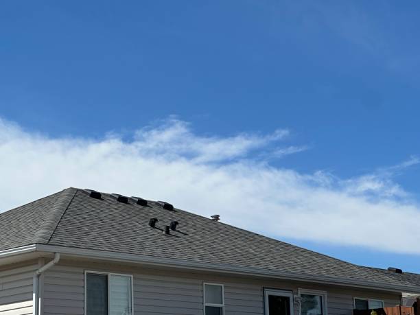 Skylights in Pamplico, SC